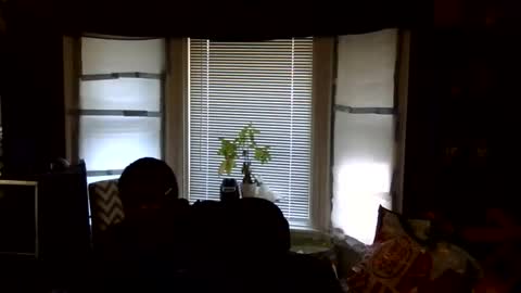 oscar flores online show from February 16, 3:08 pm