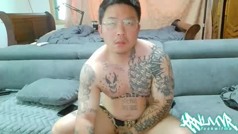 ohshxt online show from May 28, 6:43 am