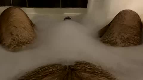 Snapshot of oldbones2 chatting on February 16, 2:20 am oldbones2 online show from February 16, 2:20 am