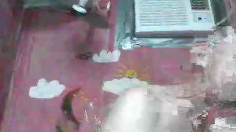 oldbuthorny62 online show from November 23, 6:57 am