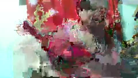 Snapshot of olgaaldy chatting on November 20, 8:03 am olgaaldy online show from November 20, 8:03 am