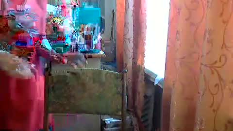 Snapshot of olivia_mia25 chatting on April 24, 8:50 am Olivia Mia online show from April 24, 8:50 am