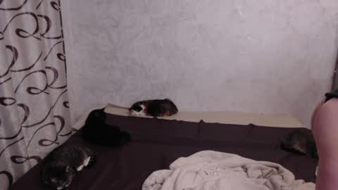 Olivia online show from May 15, 8:49 pm