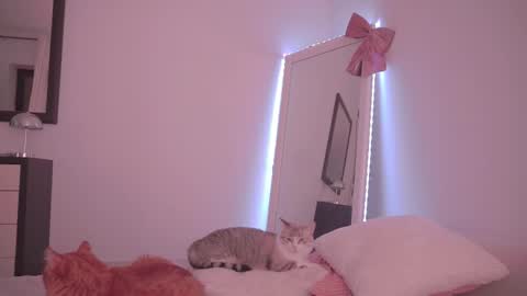 Ariel online show from February 17, 10:27 pm