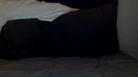 open_torequest online show from September 21, 9:55 am