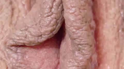 orchidekitty online show from February 1, 9:13 pm