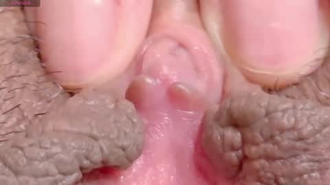 orchidekitty online show from April 16, 8:20 pm