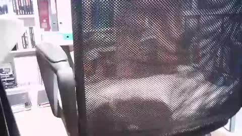 oren online show from March 1, 2:44 pm