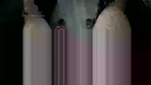 Snapshot of orgybargy69 chatting on November 19, 7:03 pm ORGYBARGY69 online show from November 19, 7:03 pm