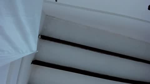 Miss Guzman  online show from January 27, 12:48 pm