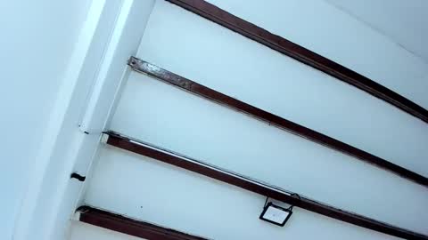 Miss Guzman  online show from February 2, 12:35 pm