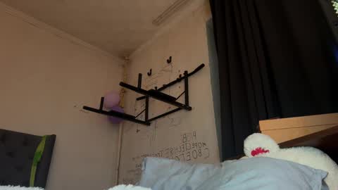 origamicat online show from January 15, 9:07 pm