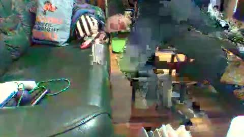 orizon_100 online show from November 30, 9:57 am