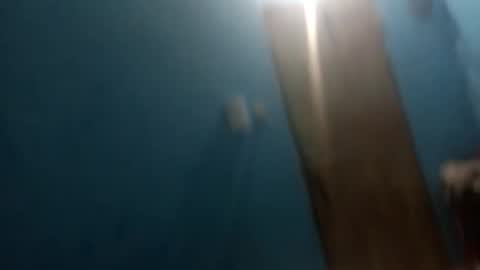 osogor online show from January 14, 7:14 am