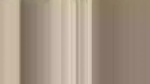 rossignol online show from December 14, 12:33 am