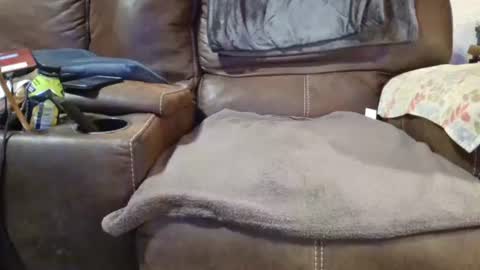 outdoorsmanmark71 online show from December 19, 2:12 am