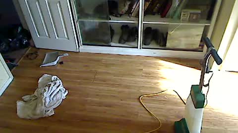 painfulgbud online show from February 23, 8:33 pm