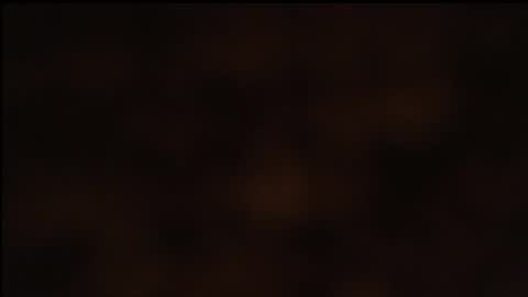 Snapshot of paiper_halliwey_ chatting on January 26, 10:23 am paiper online show from January 26, 10:23 am