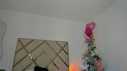 palechor online show from December 17, 5:24 am