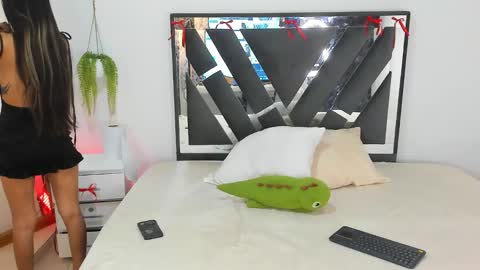 palechor online show from February 15, 4:03 pm