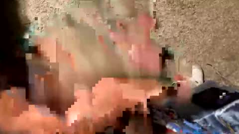 palote_69 online show from October 17, 3:42 am