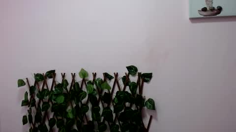 Pamela Claus online show from January 30, 12:18 am