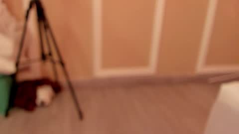 Snapshot of pamelamendez_1 chatting on February 27, 4:56 am pamelamendez_1 online show from February 27, 4:56 am