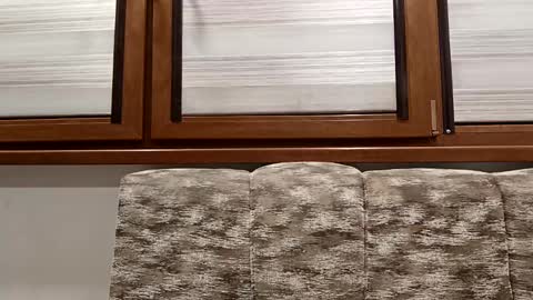 angel hris online show from January 14, 8:15 pm