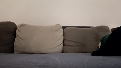 angel hris online show from October 12, 3:33 pm