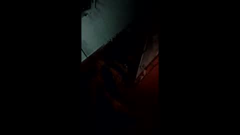 angel hris online show from November 9, 11:47 pm