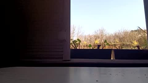 angel hris online show from April 5, 3:09 pm