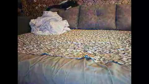 Pancamo online show from January 18, 7:17 pm