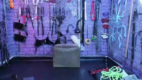 PandoraNez online show from February 14, 11:10 am