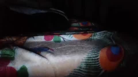 papi mexicano en boxers online show from November 20, 6:46 am