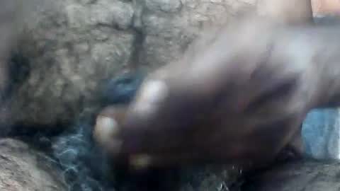 pappi_rambo online show from August 7, 7:10 am