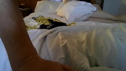 partyplaynfuc online show from March 13, 9:49 am