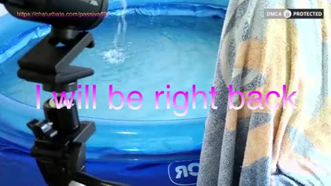 Dome Passiva697 online show from February 1, 1:42 pm