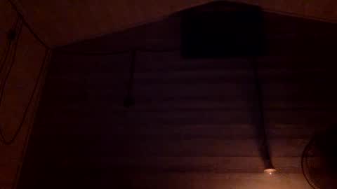 Pati24 online show from January 5, 1:03 am