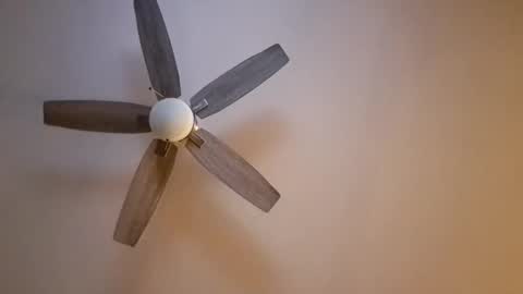 patrick247288 online show from November 16, 6:30 am