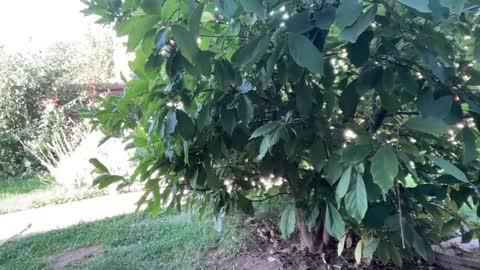 Andreea online show from September 23, 6:16 am