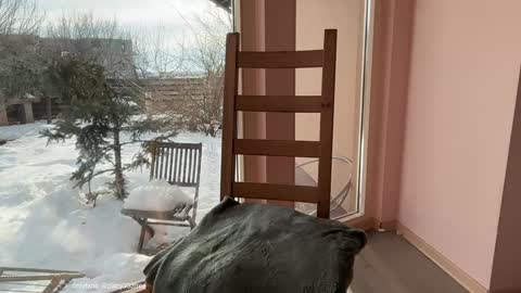 Snapshot of patry333 chatting on February 20, 6:37 am Andreea online show from February 20, 6:37 am