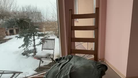 Snapshot of patry333 chatting on February 24, 7:06 am Andreea online show from February 24, 7:06 am