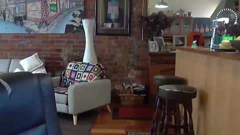 patvac online show from November 8, 1:50 am