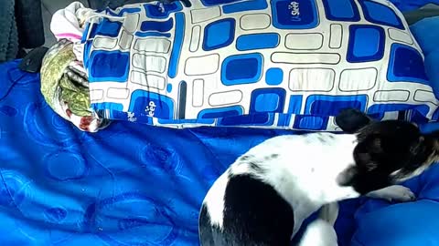 paula_willss online show from January 6, 12:35 pm