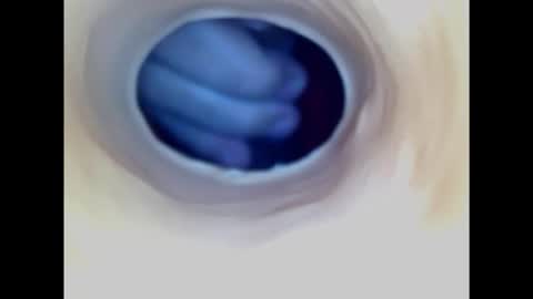 Paula 18 Aninhos online show from February 1, 7:44 pm