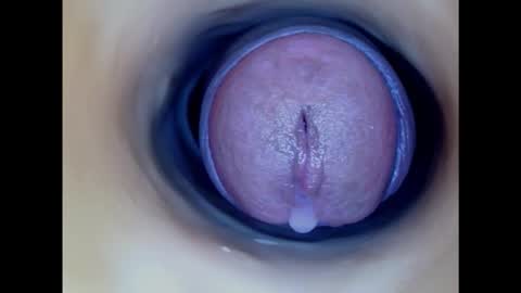 Paula 18 Aninhos online show from February 8, 5:50 pm