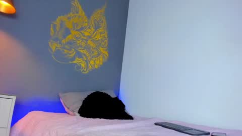 Paulina online show from December 2, 8:00 pm