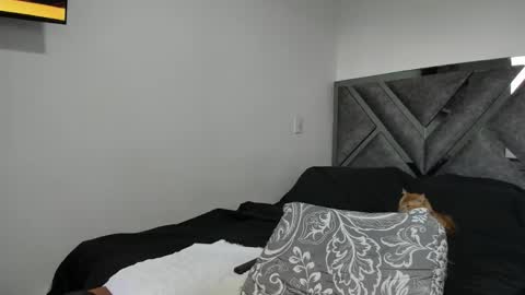 Paulina online show from November 12, 9:14 pm