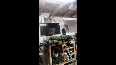 Snapshot of pawelniceguy chatting on January 19, 2:26 am pawelniceguy online show from January 19, 2:26 am