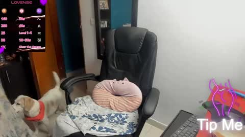 Tangerine Penaut online show from March 12, 12:06 am